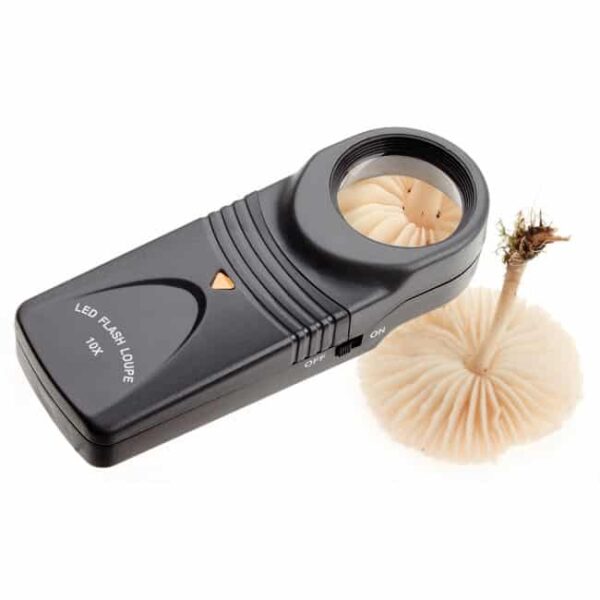 Håndholdt lupe Håndholdt lupe